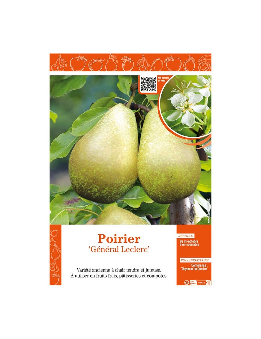 POIRIER GÉNÉRAL LECLERC