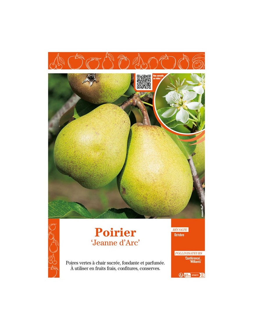POIRIER JEANNE D'ARC