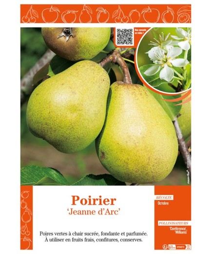 POIRIER JEANNE D'ARC