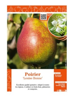 POIRIER LOUISE BONNE