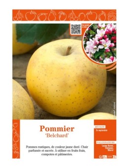 POMMIER BELCHARD CHANTECLERC
