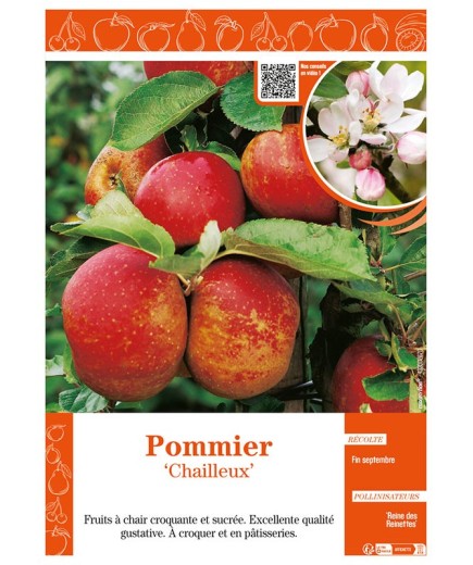 POMMIER CHAILLEUX