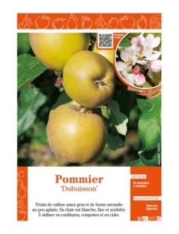 POMMIER DUBUISSON