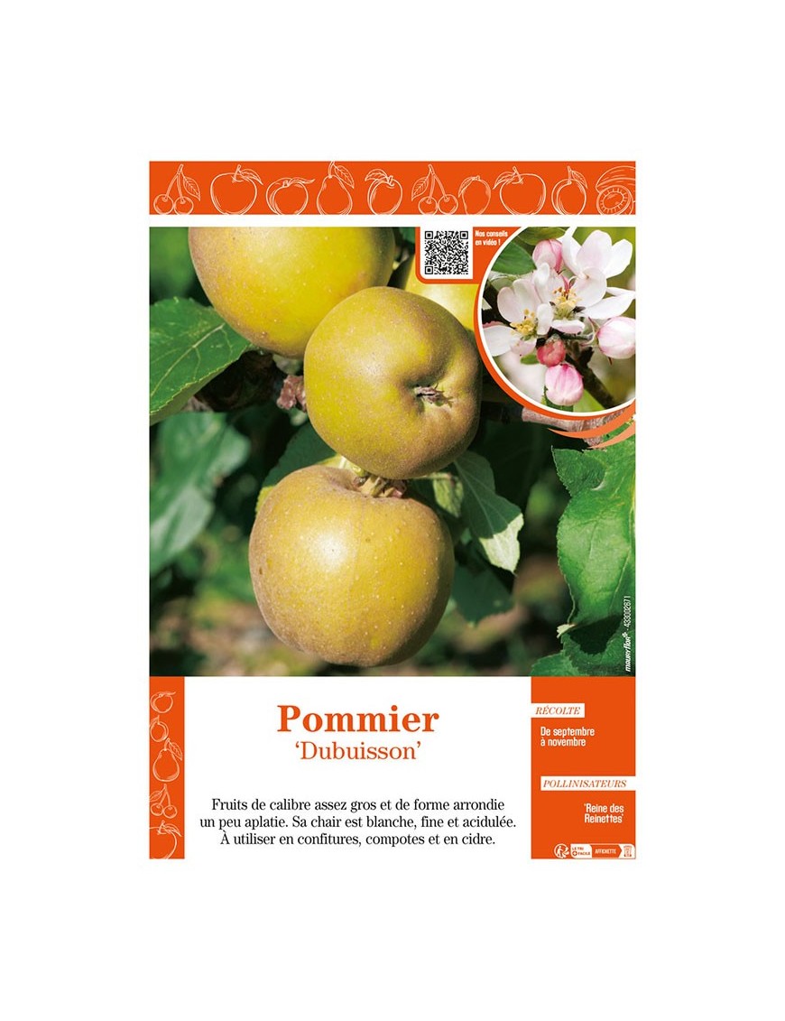 POMMIER DUBUISSON