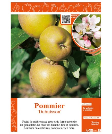 POMMIER DUBUISSON