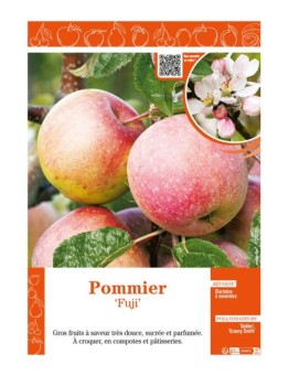 POMMIER FUJI