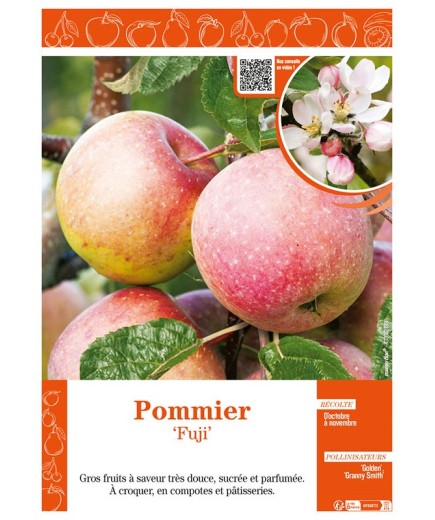 POMMIER FUJI
