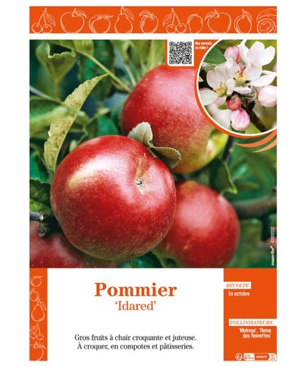 POMMIER IDARED