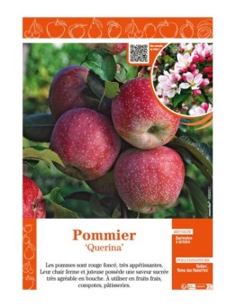 POMMIER QUERINA