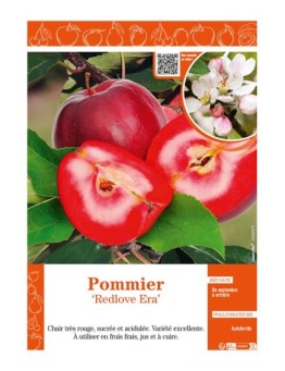 POMMIER REDLOVE ERA