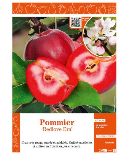 POMMIER REDLOVE ERA