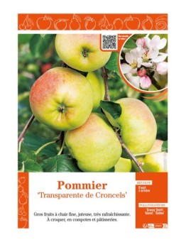 POMMIER TRANSPARENTE DE CRONCELS