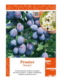 PRUNIER STANLEY