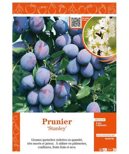 PRUNIER STANLEY