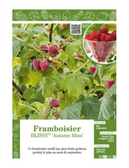 FRAMBOISIER BLISSY® AUTUMN BLISS