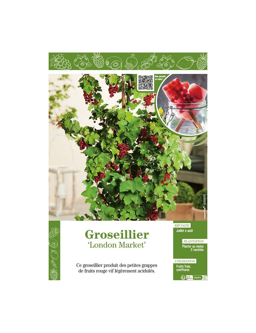 GROSEILLIER LONDON MARKET