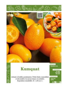 KUMQUAT (FORTUNELLA)