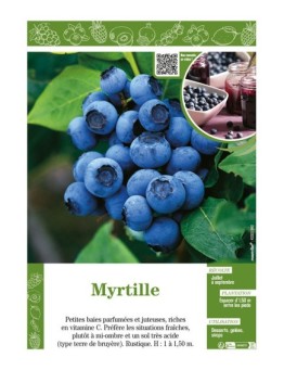 MYRTILLE