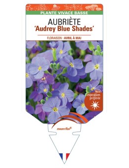 AUBRIETA Audrey Blue Shades
