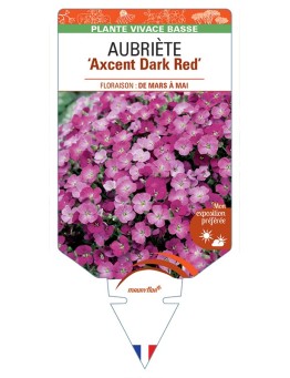 AUBRIETA Axcent Dark Red