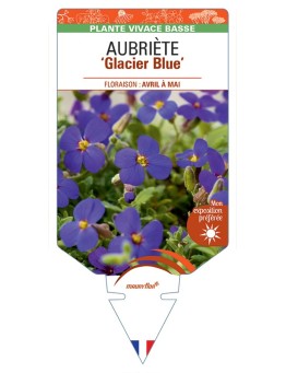 AUBRIETA Glacier Blue