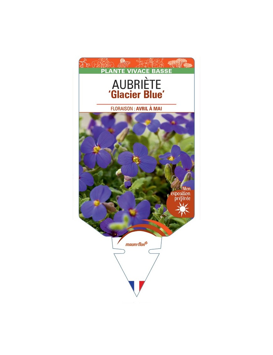 AUBRIETA Glacier Blue