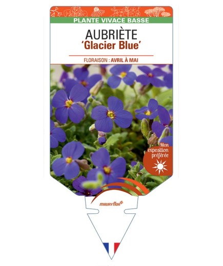 AUBRIETA Glacier Blue