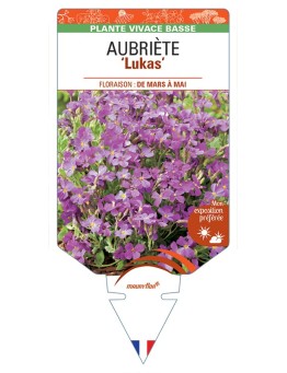 AUBRIETA Lukas