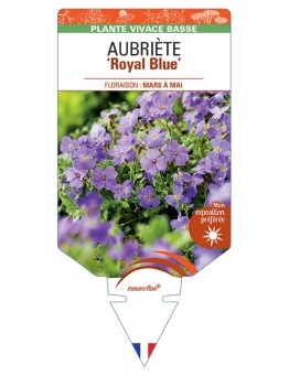 AUBRIETA Royal Blue