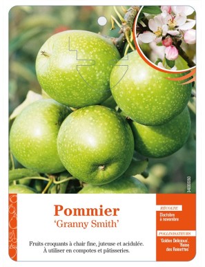 Pommier ‘Granny Smith’