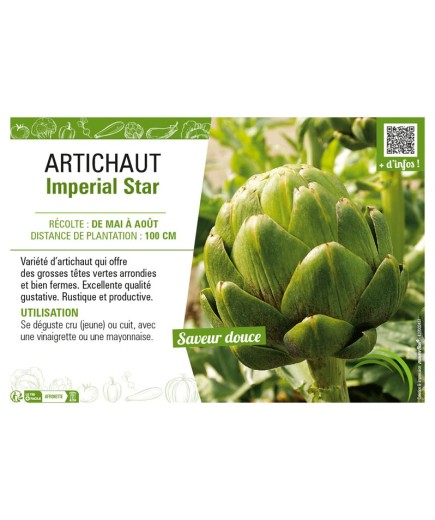 ARTICHAUT IMPÉRIAL STAR
