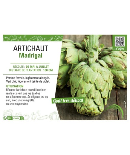 ARTICHAUT MADRIGAL