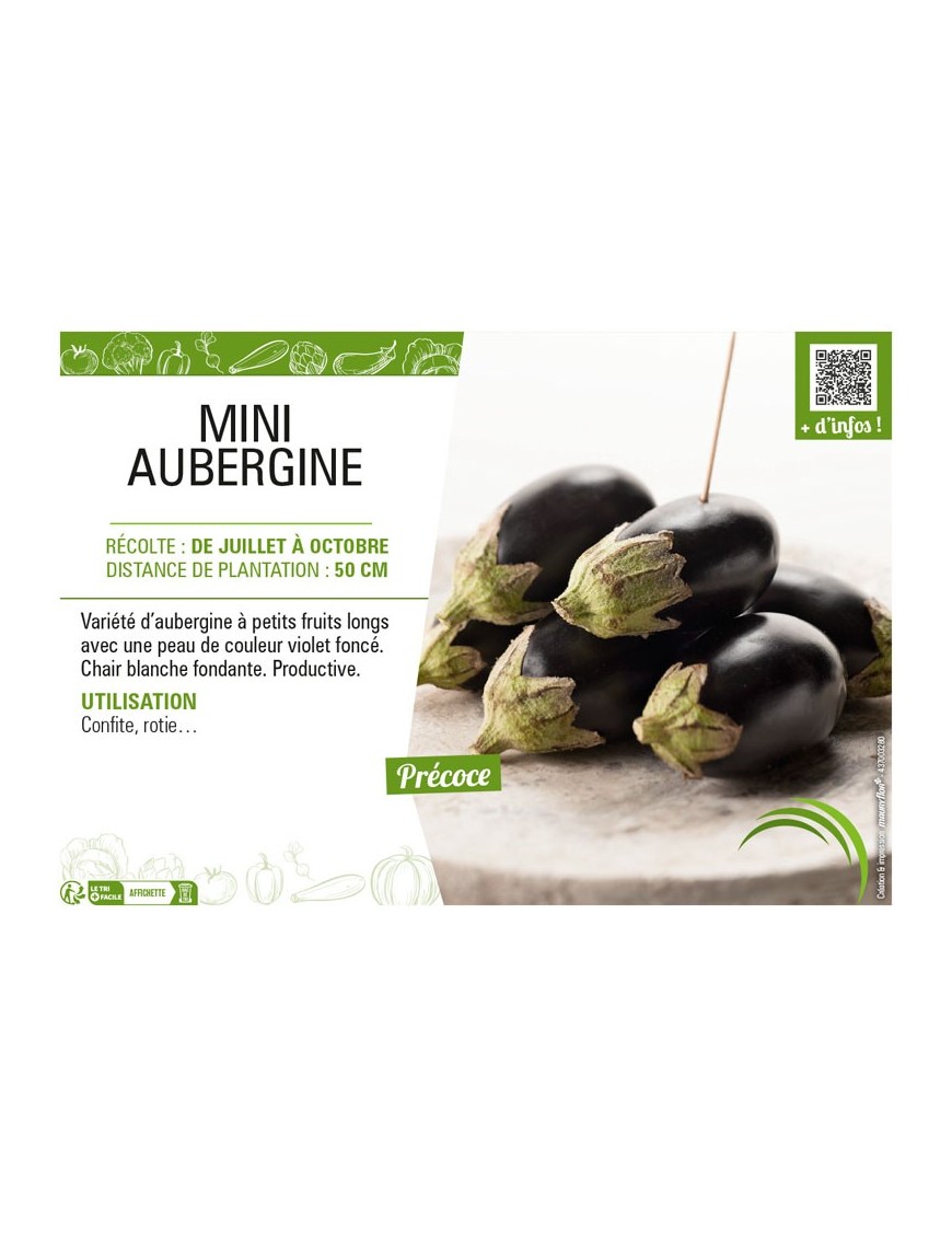 (MINI) AUBERGINE