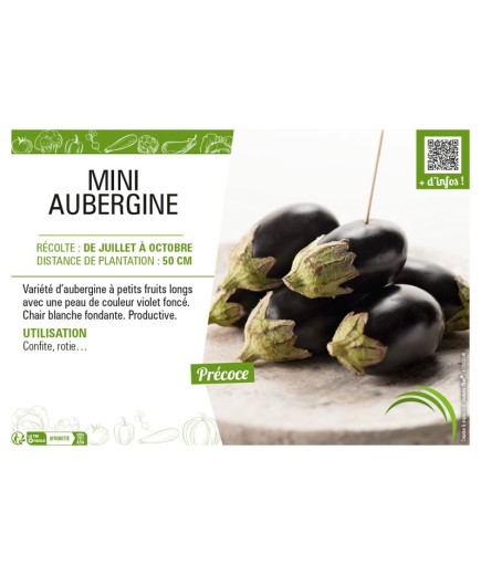 (MINI) AUBERGINE