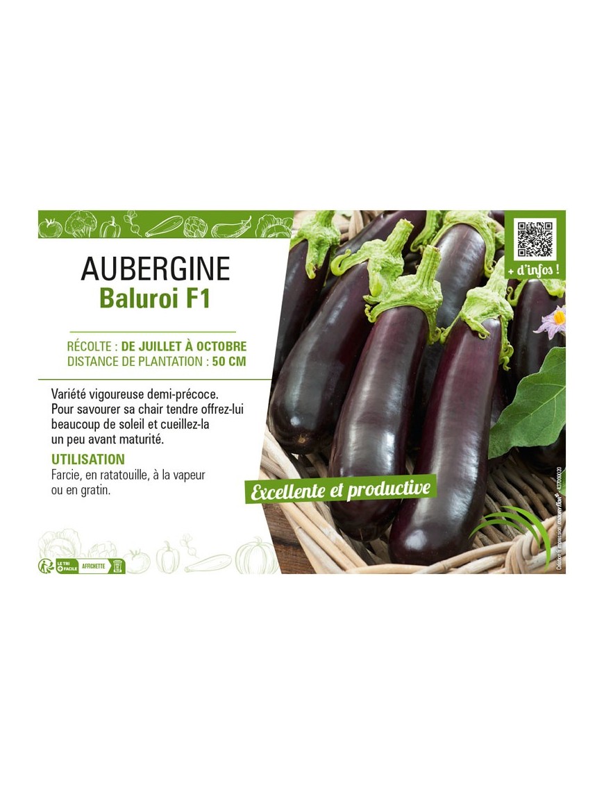 AUBERGINE BALUROI F1