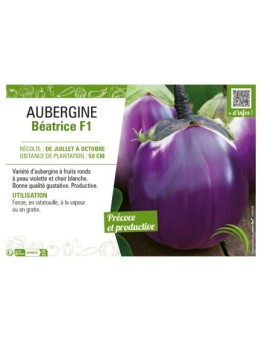 AUBERGINE BÉATRICE F1
