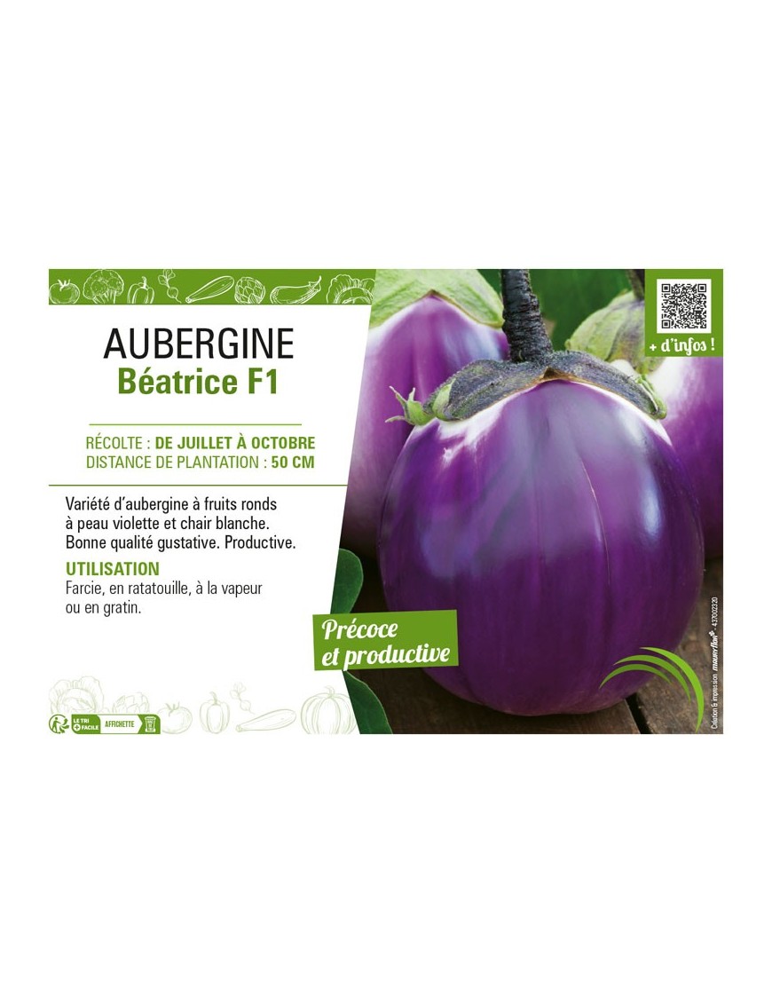 AUBERGINE BÉATRICE F1