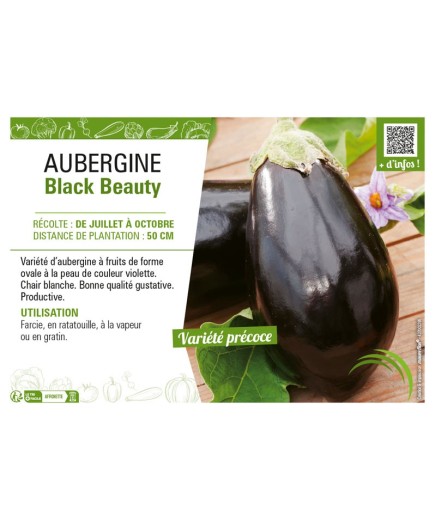 AUBERGINE BLACK BEAUTY