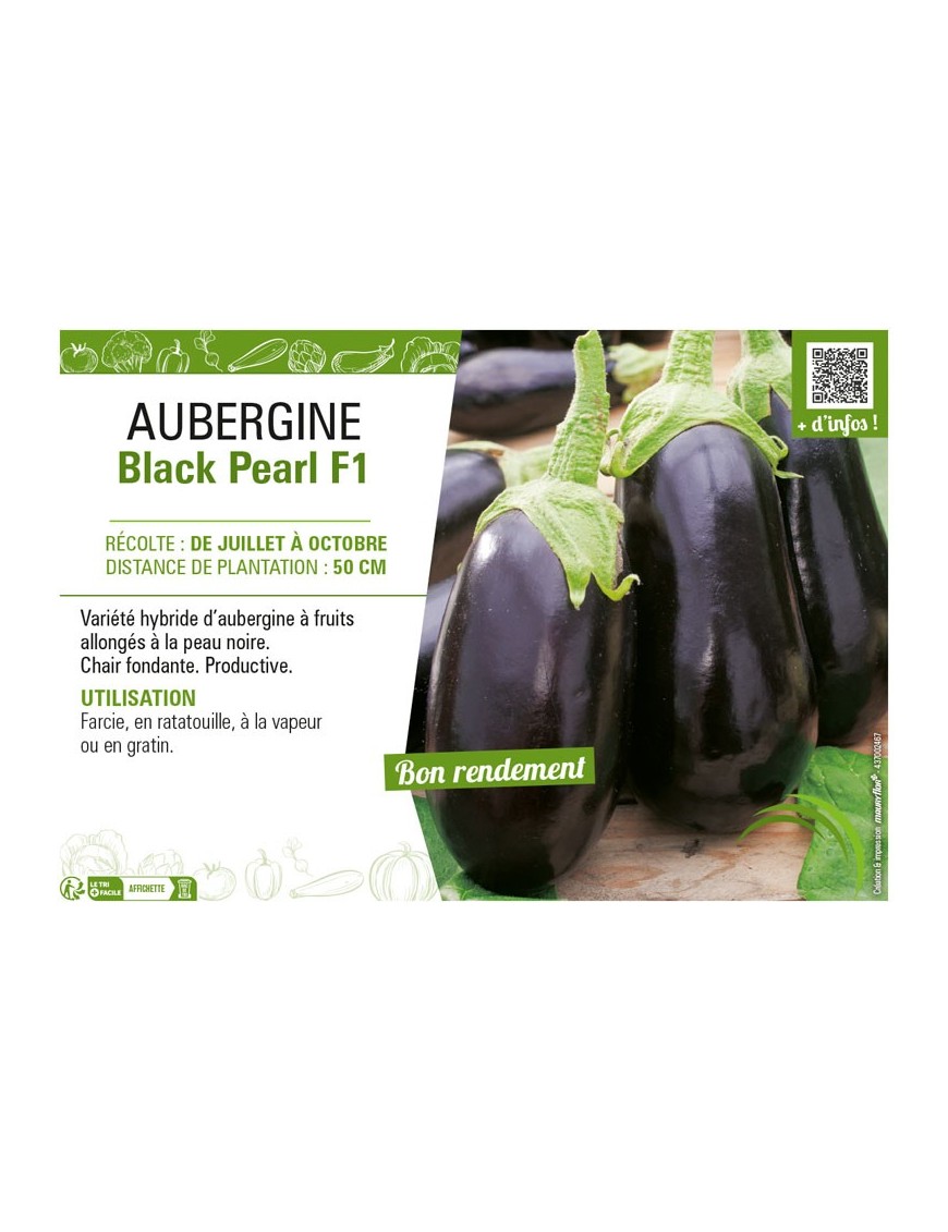 AUBERGINE BLACK PEARL F1