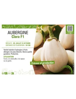 AUBERGINE CLARA F1