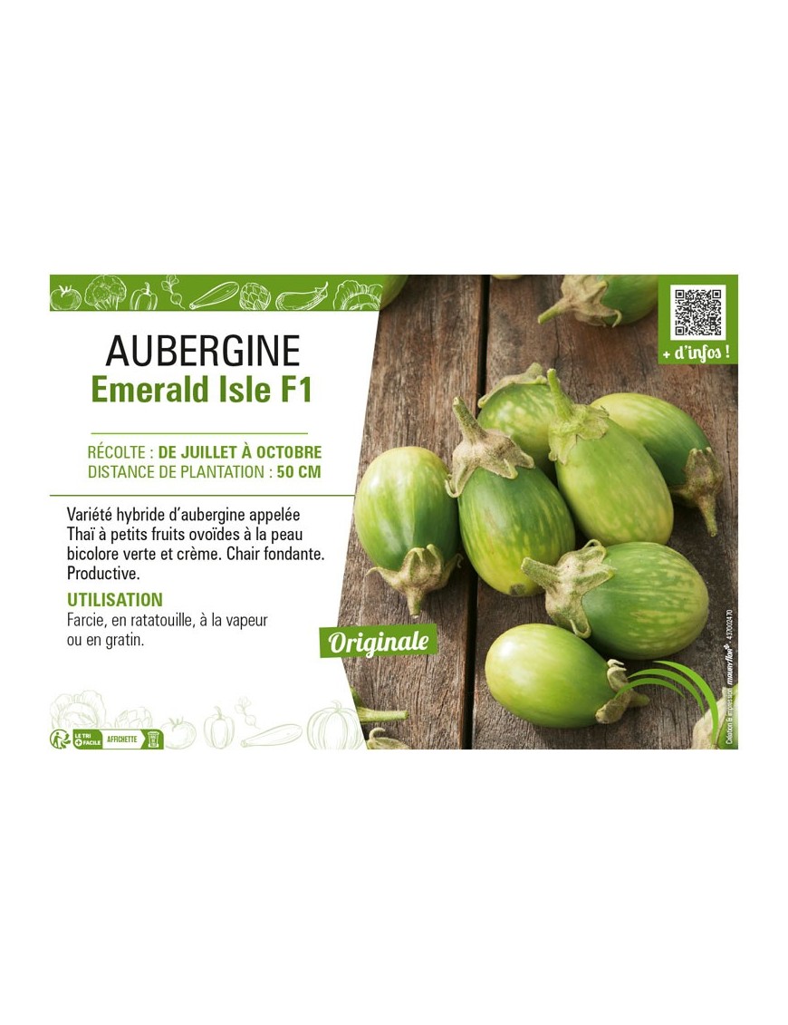 AUBERGINE EMERALD ISLE F1