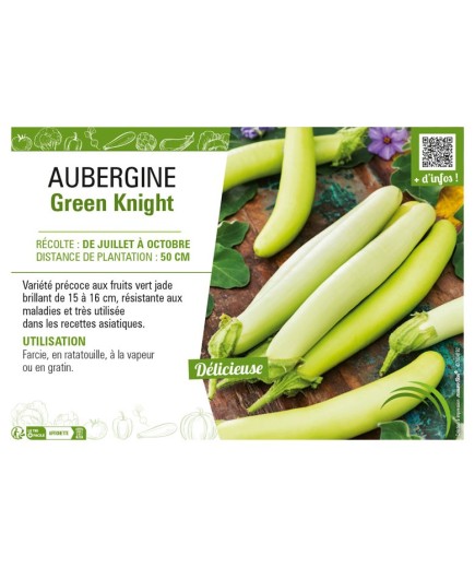 AUBERGINE GREEN KNIGHT