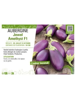 AUBERGINE JEWEL AMETHYST F1