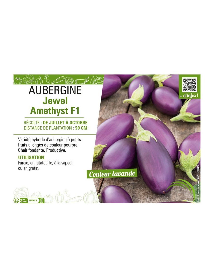 AUBERGINE JEWEL AMETHYST F1
