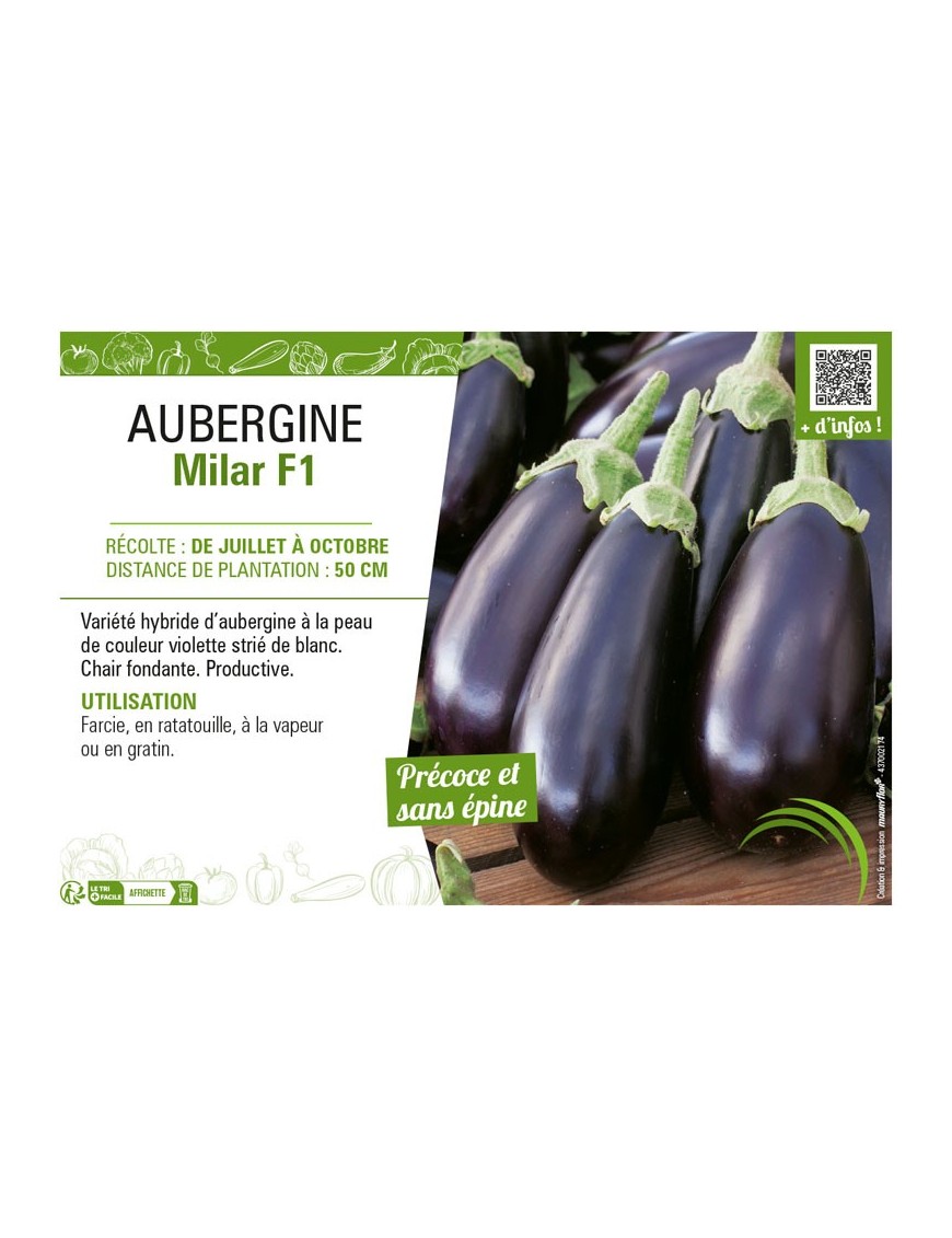 AUBERGINE MILAR F1