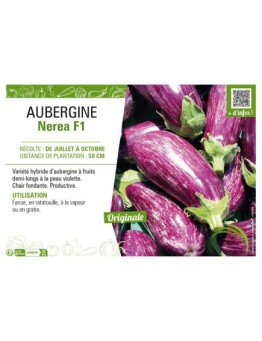 AUBERGINE NEREA F1