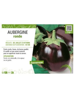 AUBERGINE RONDE