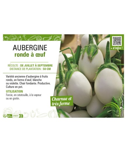 AUBERGINE RONDE À ŒUF