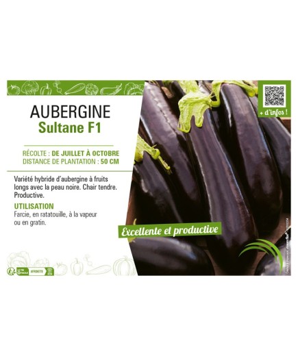 AUBERGINE SULTANE F1