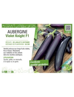 AUBERGINE VIOLET KNIGHT F1